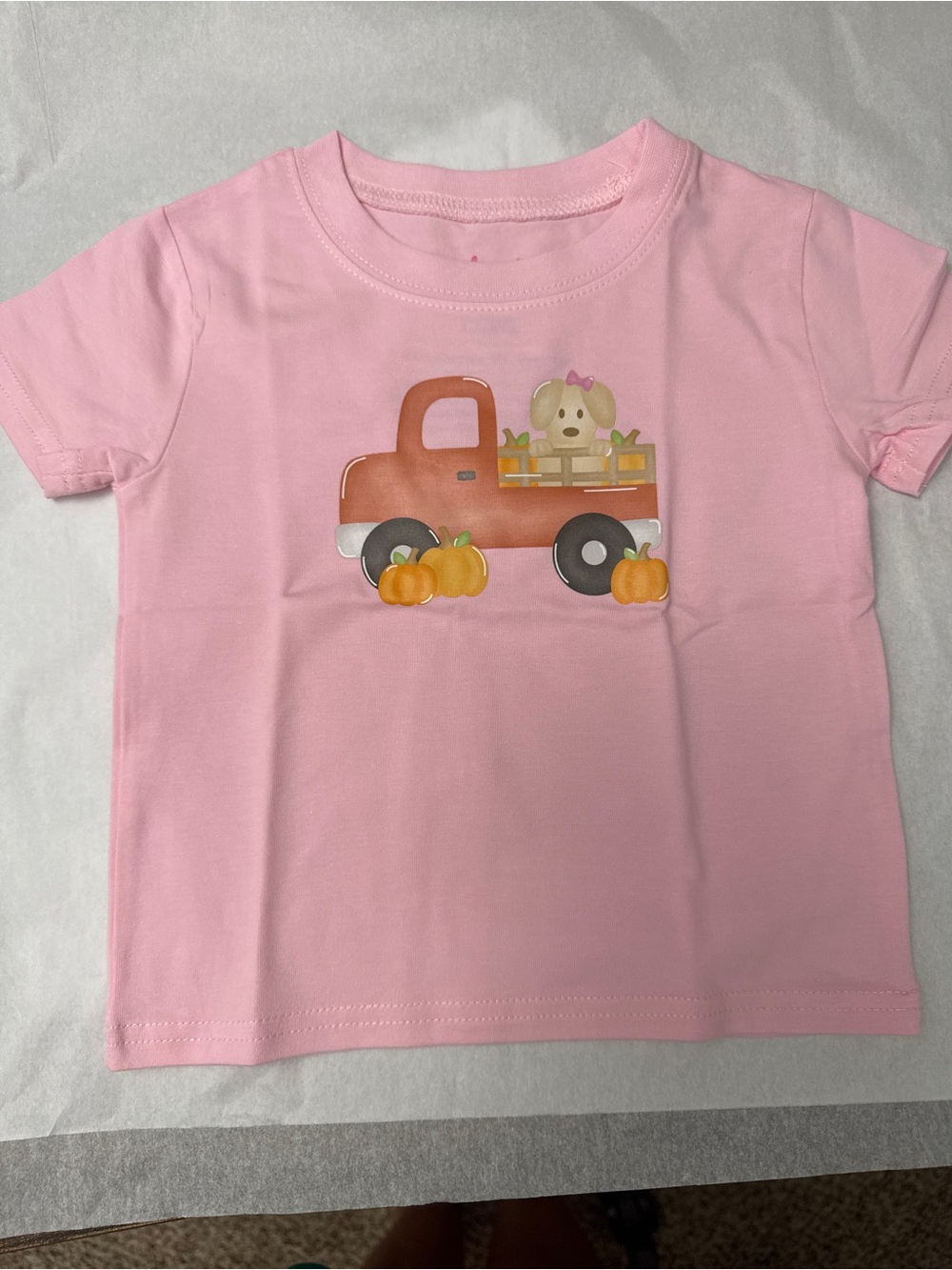 Stitchy Fish Pink Toddler Tee with dog in truck pumpkins NWOT Fall Harvest
